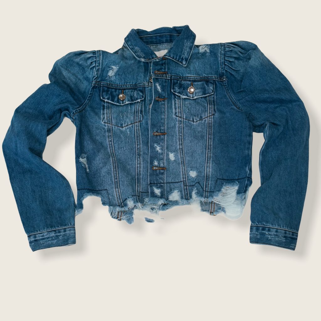 Zara denim puff sleeve top jacket